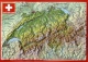 Schweiz Relief-Postkarte